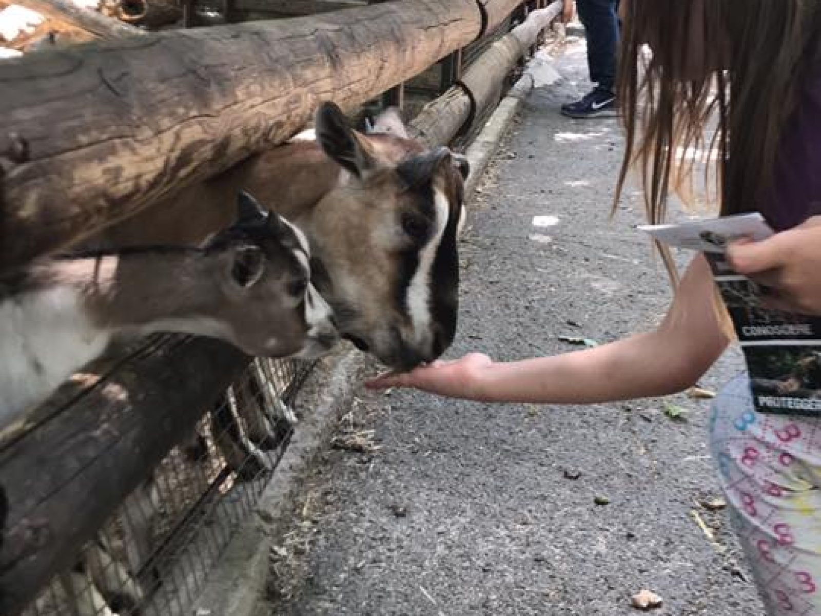 campus-estivo-teatro-natura-1