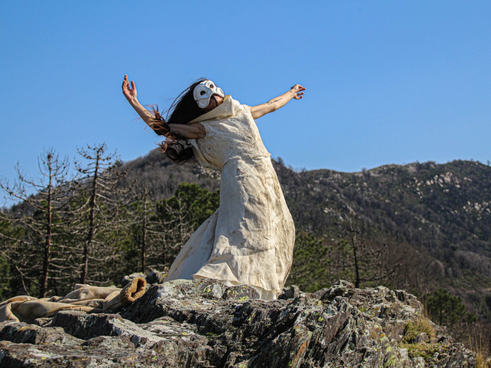 nel giardino delle trasmutazioni 1