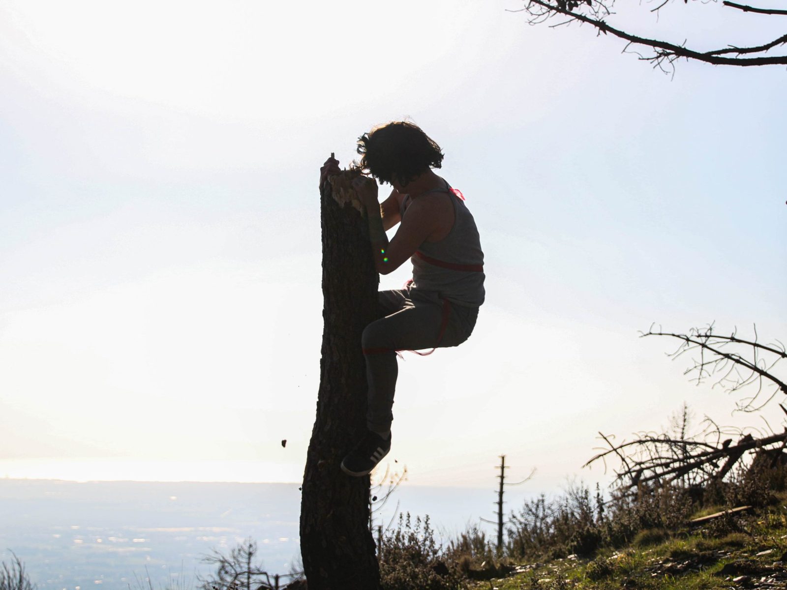 nel giardino delle trasmutazioni 11