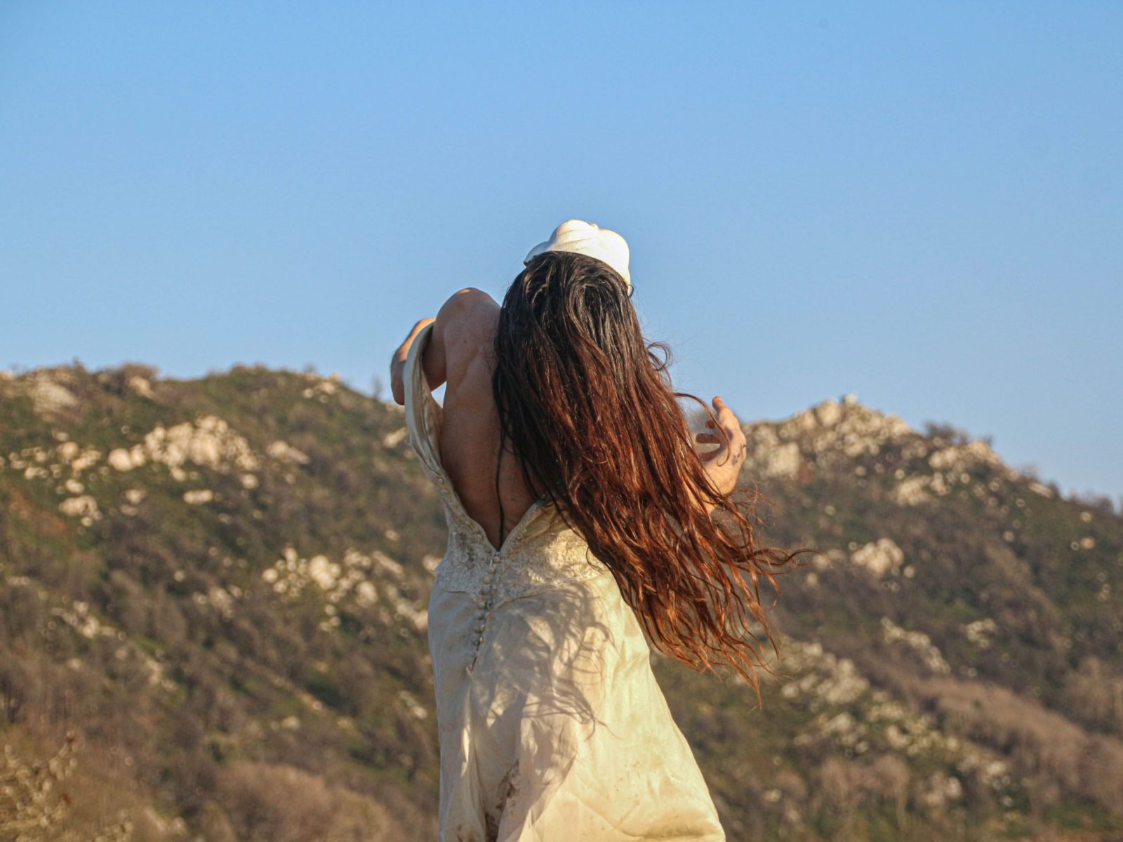 nel giardino delle trasmutazioni 14