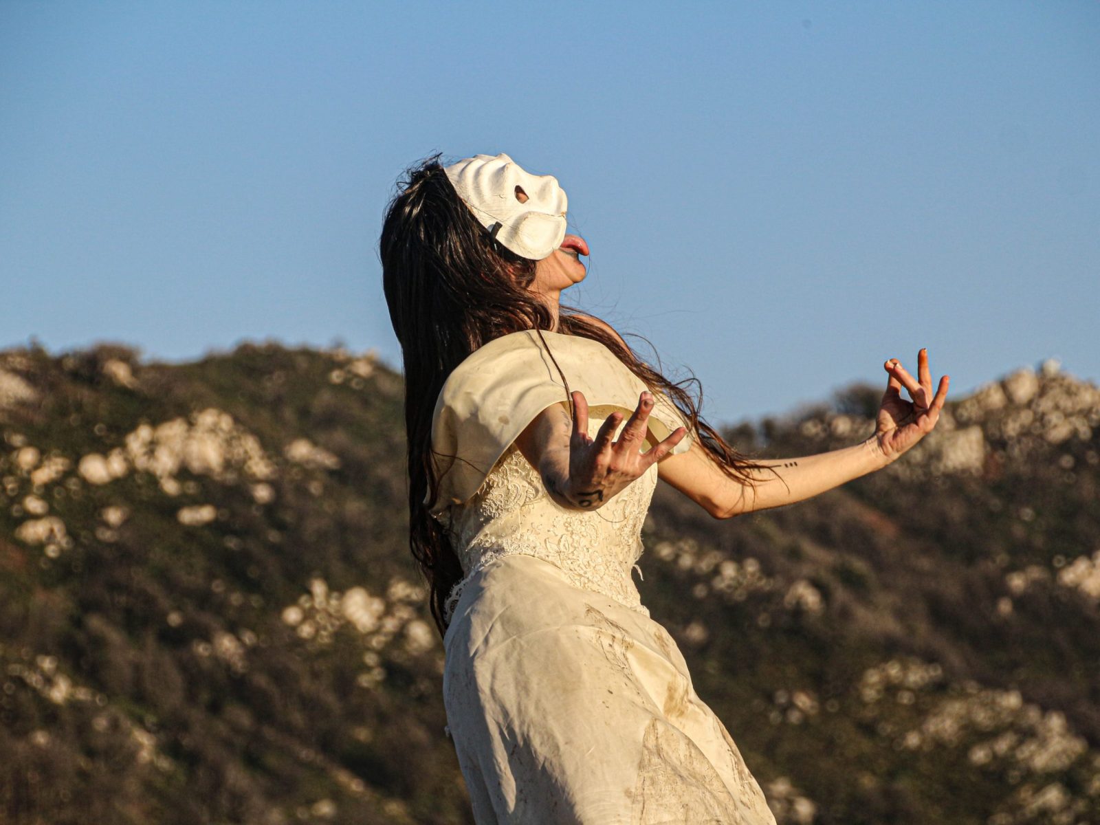 nel giardino delle trasmutazioni 15