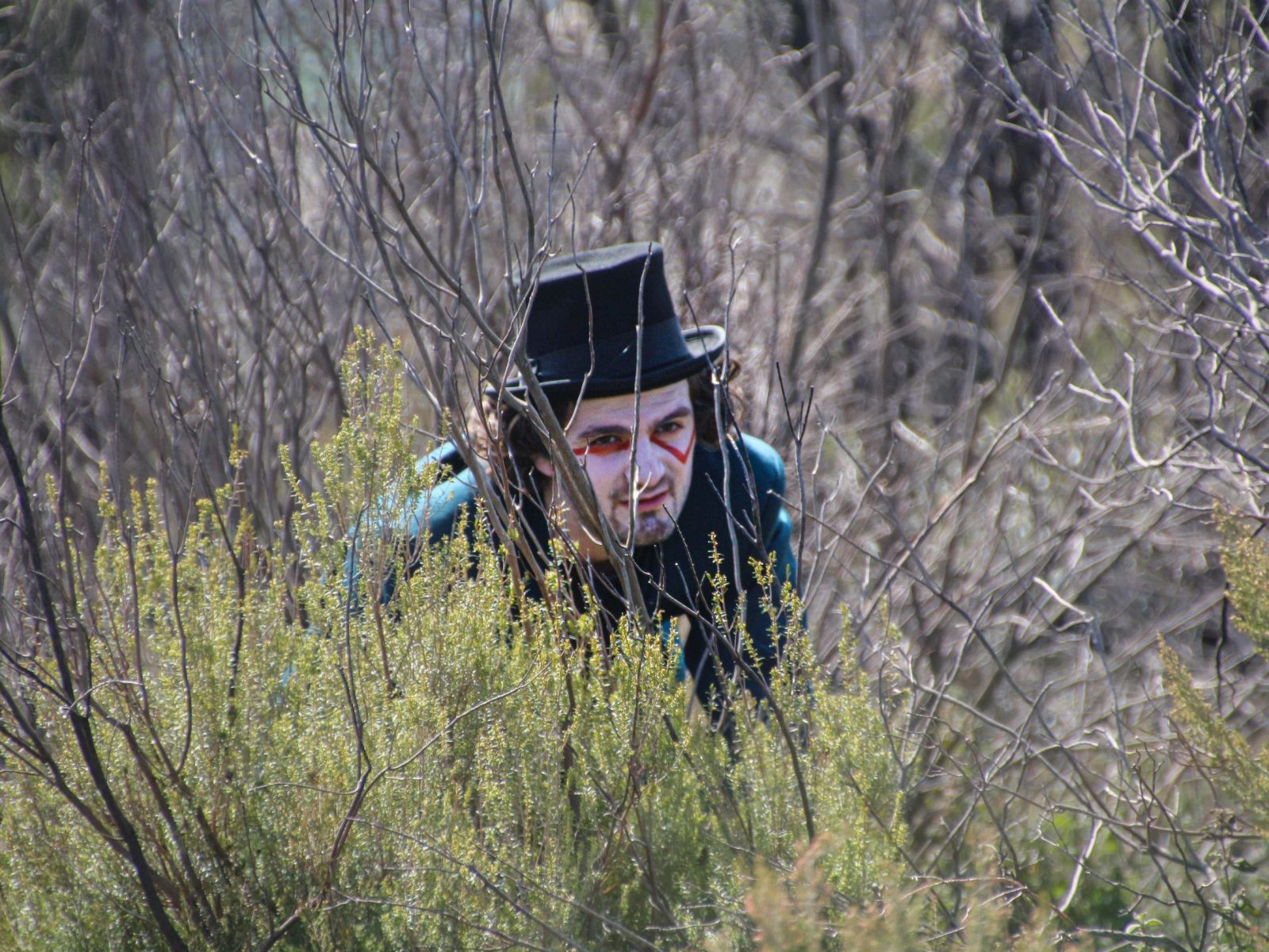 nel giardino delle trasmutazioni 4