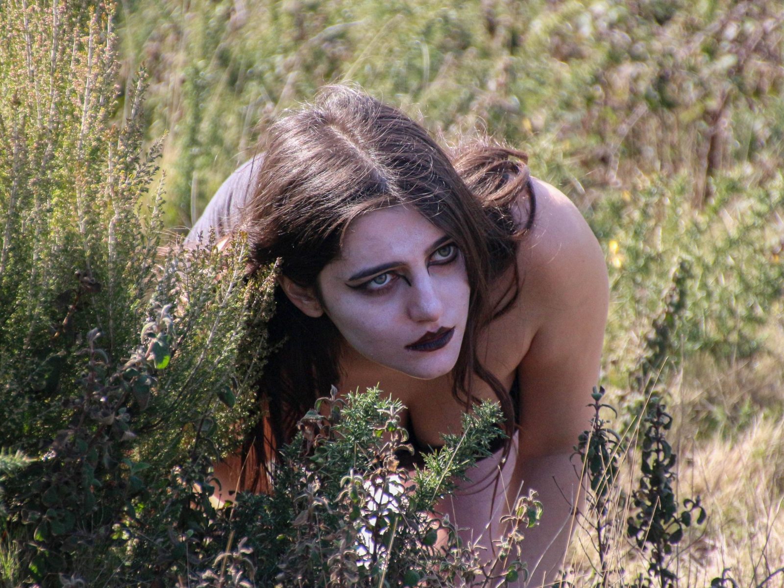 nel giardino delle trasmutazioni 6