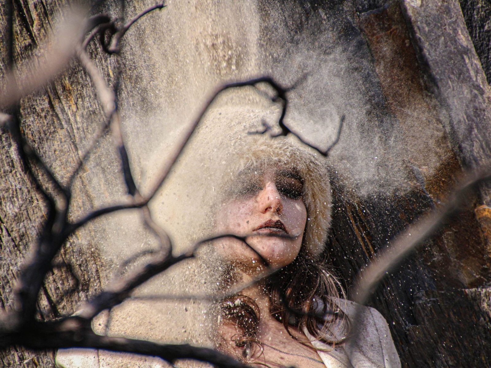 nel giardino delle trasmutazioni 8