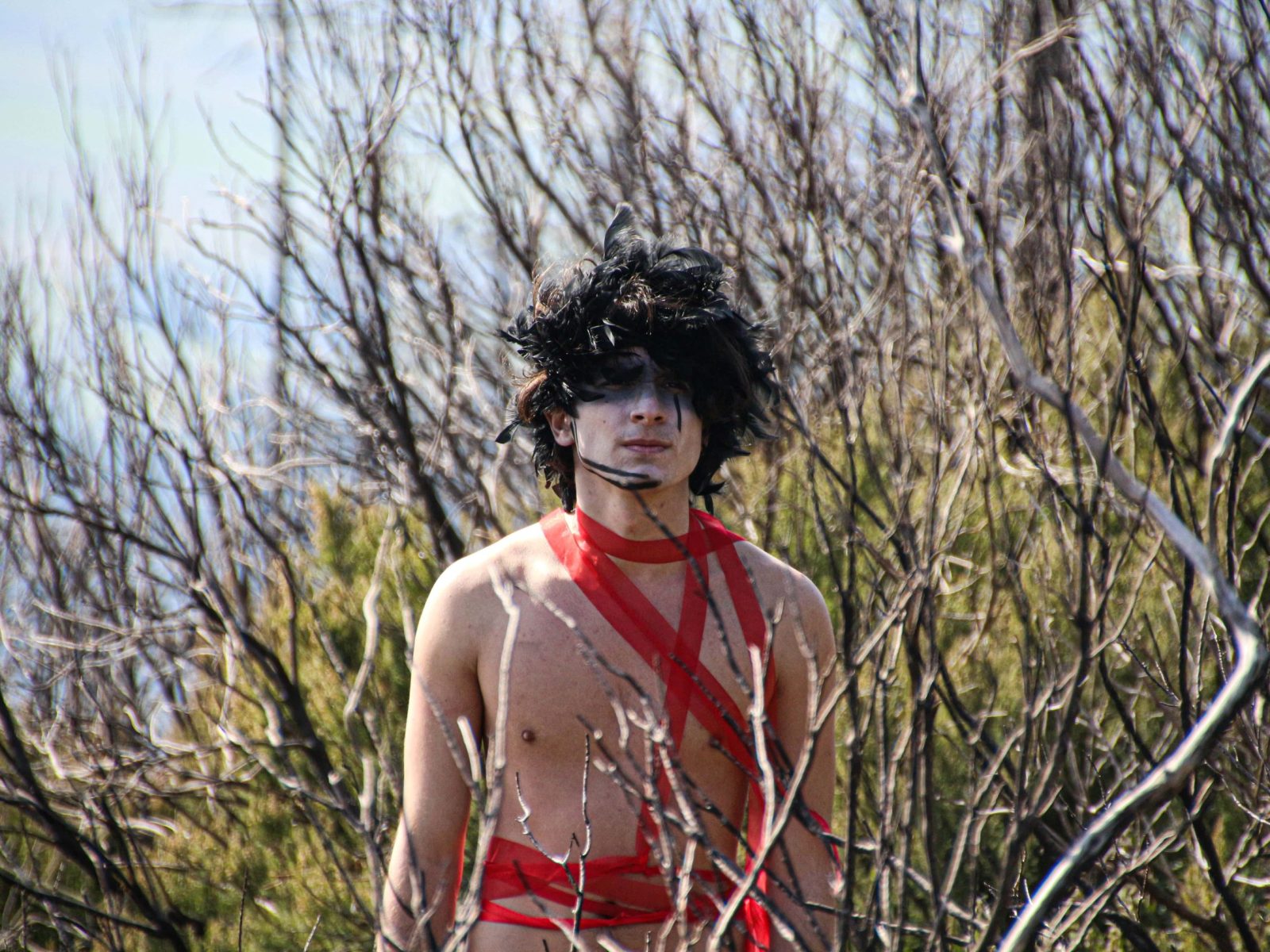 nel giardino delle trasmutazioni 9